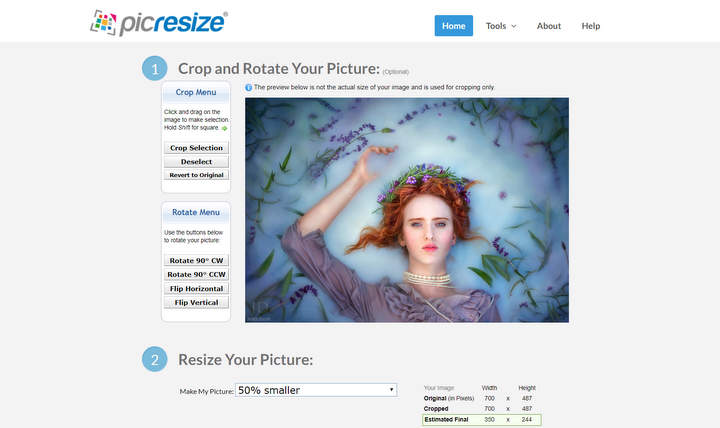 Picresize free image resizer online