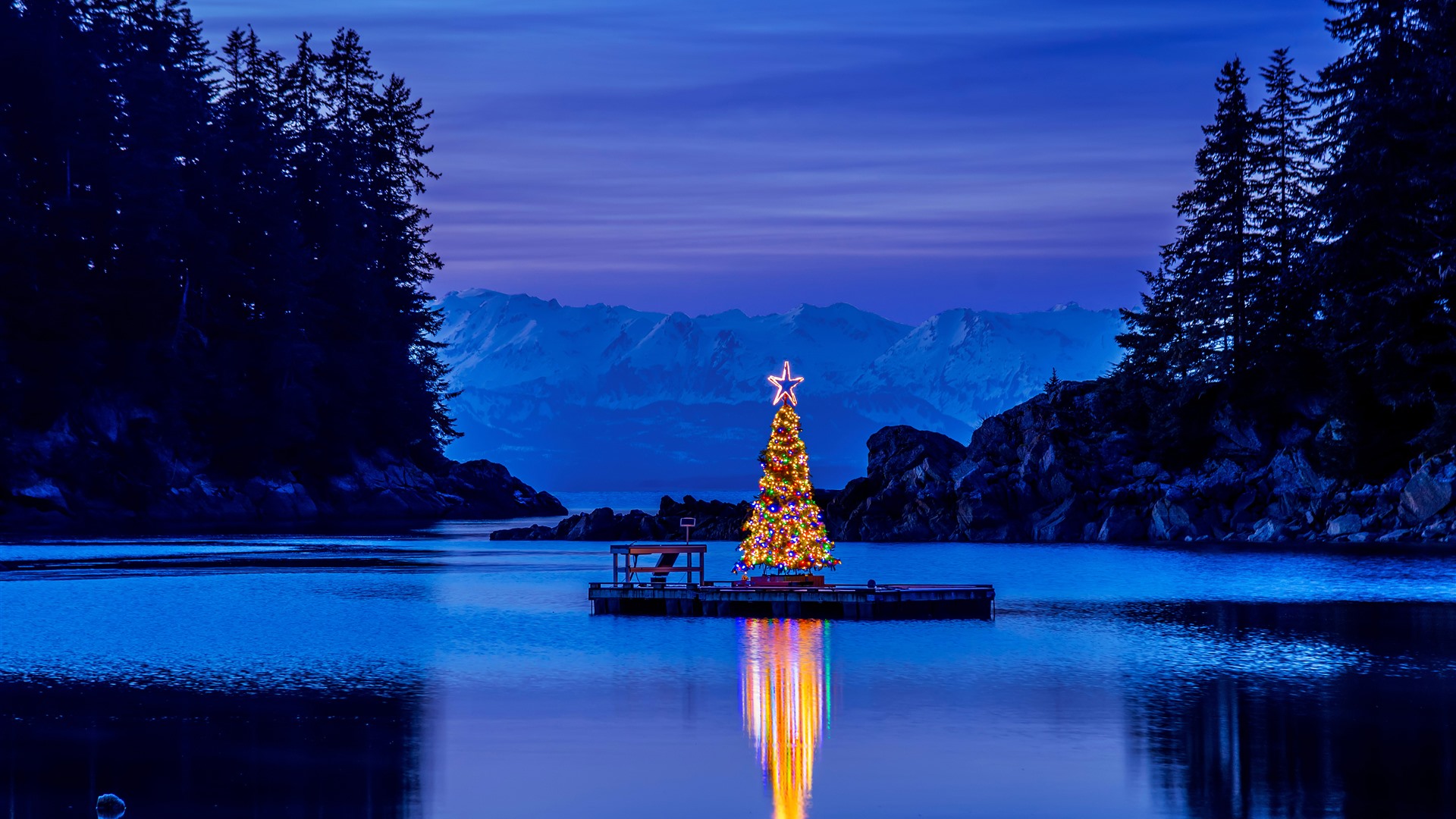 Christmas Tree Amalga Harbour Alaska