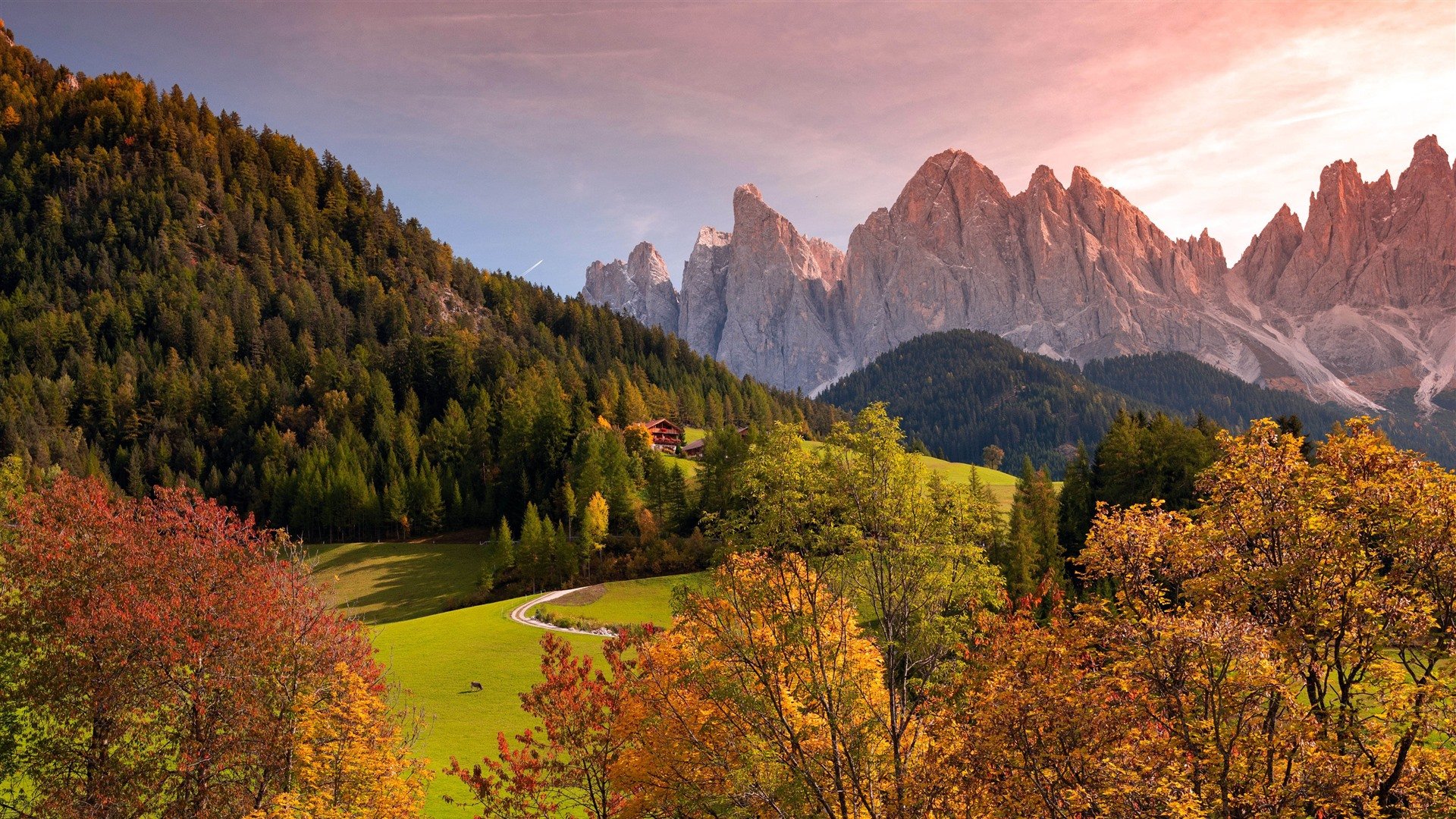 Forest Sunset Autumn Mountains