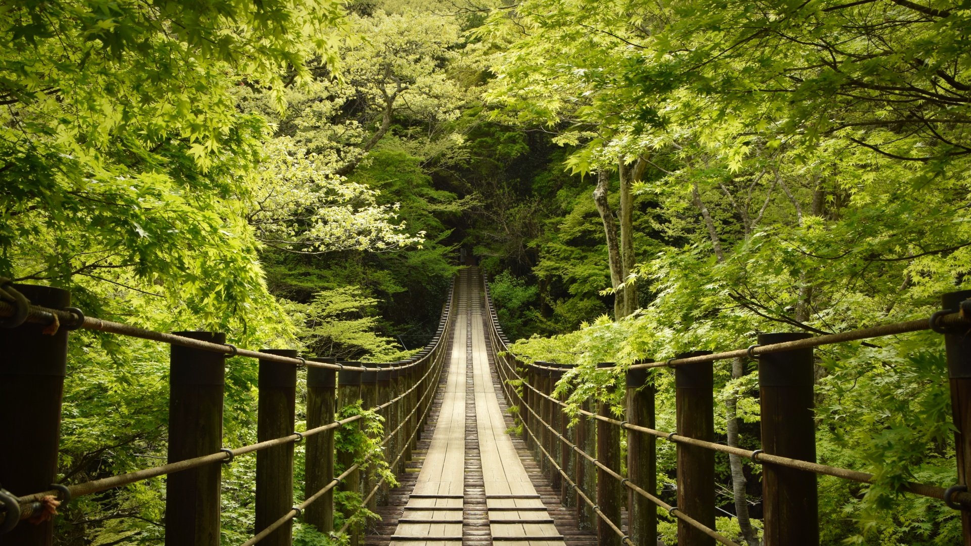 Hananuki Gorge Japan Wallpaper 1080p