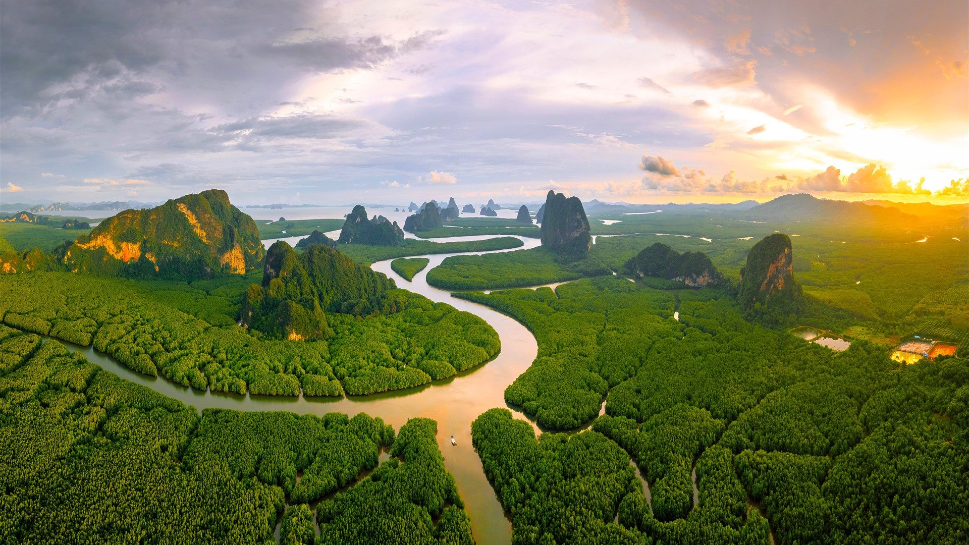 Mangrove forest Phang Nga Bay Andaman Sea Thailand