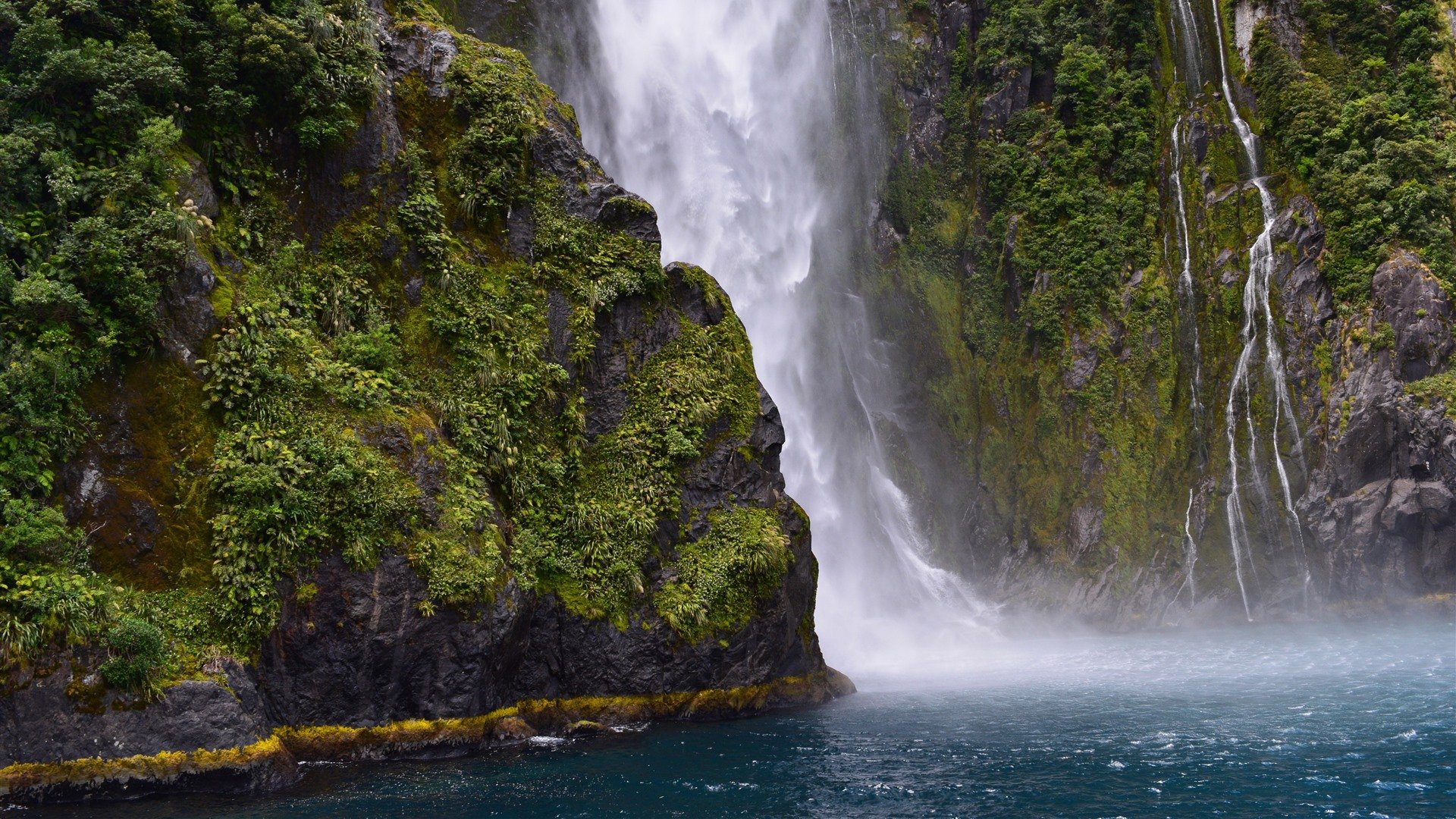 Rainforest Waterfall Milford Sound New Zealand