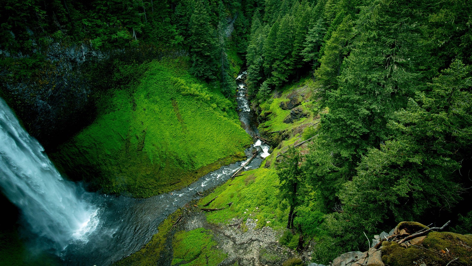 Spring Wilderness Primeval Forest Canyon Water