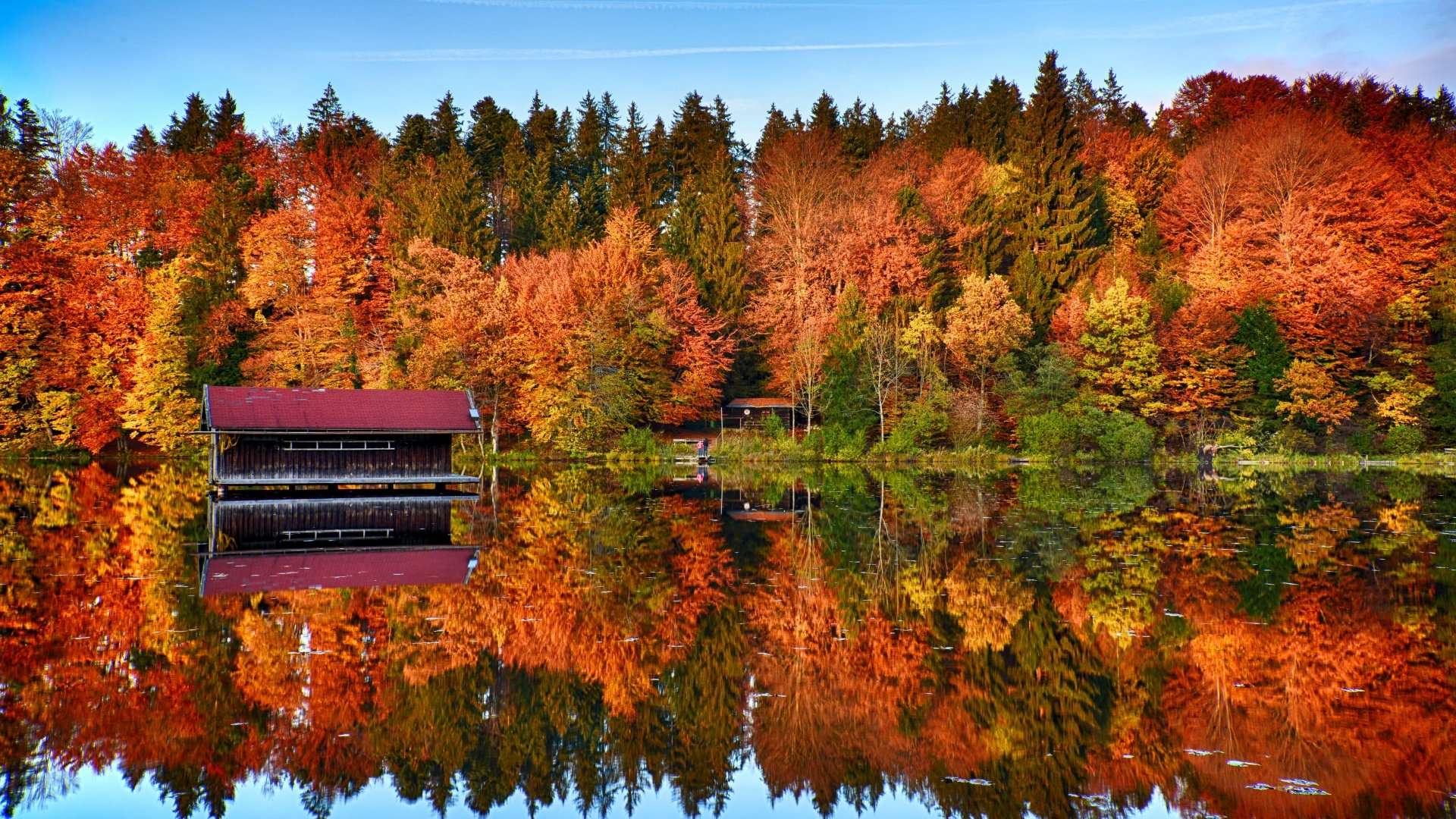 Autumn Trees Mirror Lake
