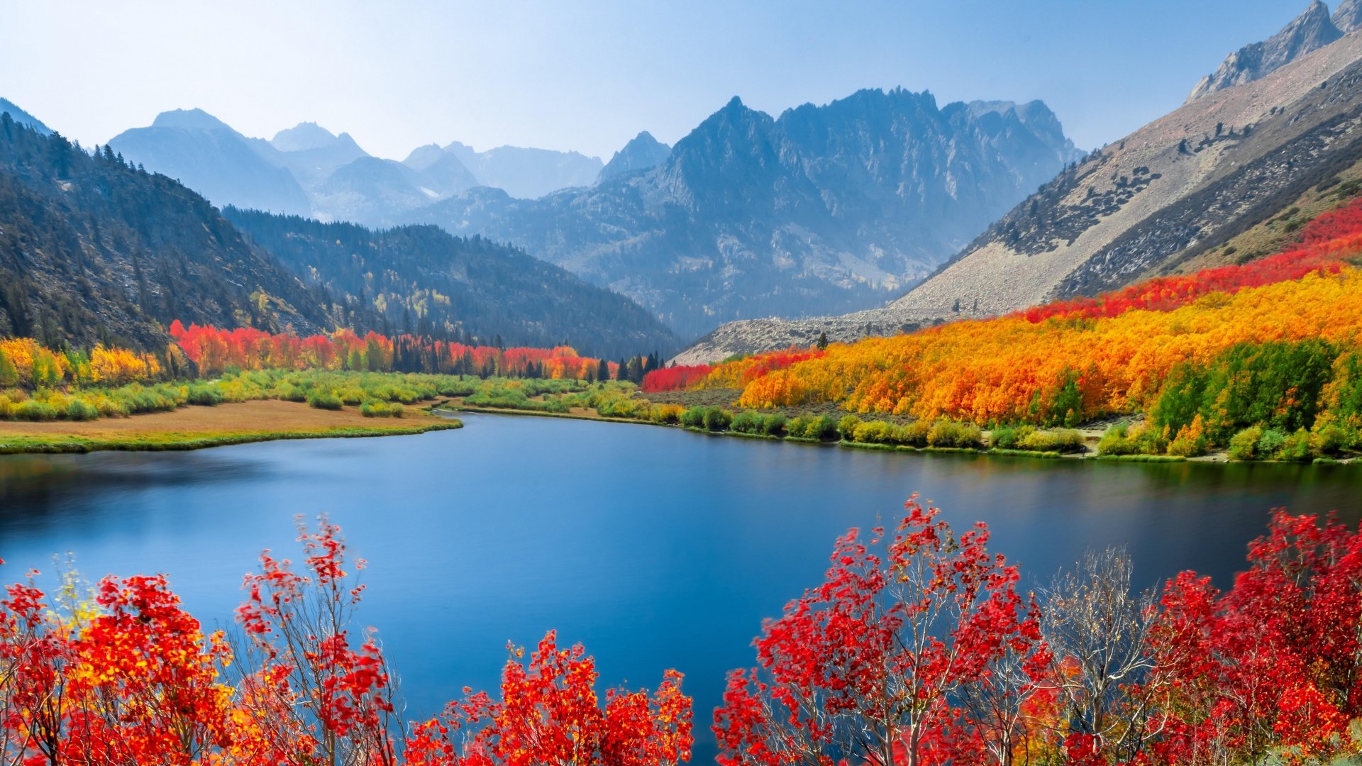 Autumn trees lake