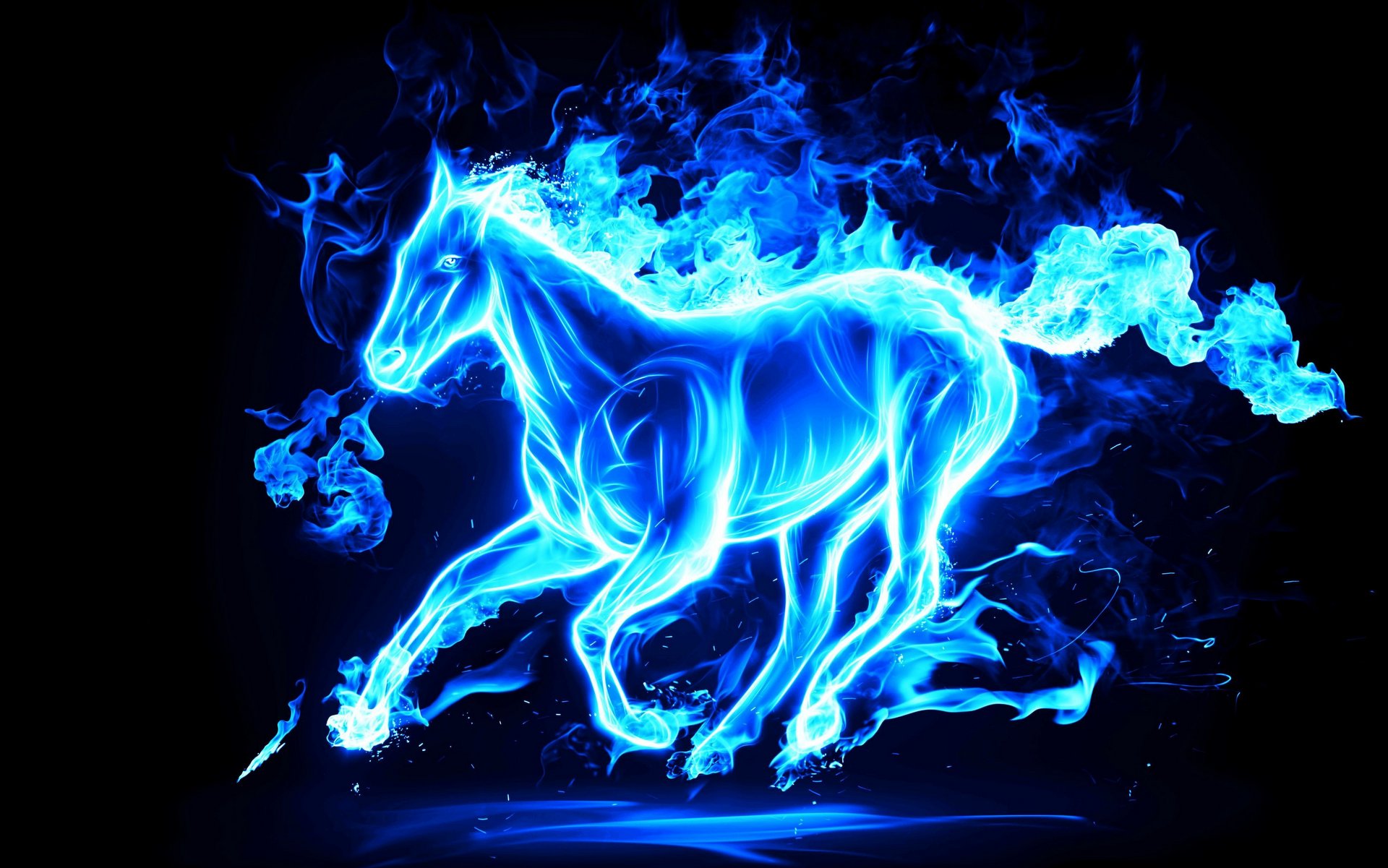 Fire Horse Background Picture 14