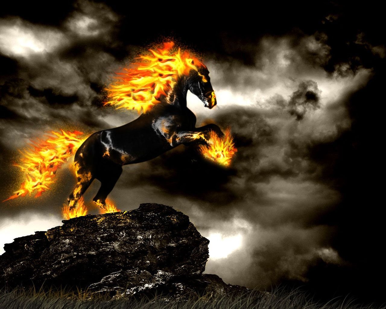 Fire Horse Background Picture 5