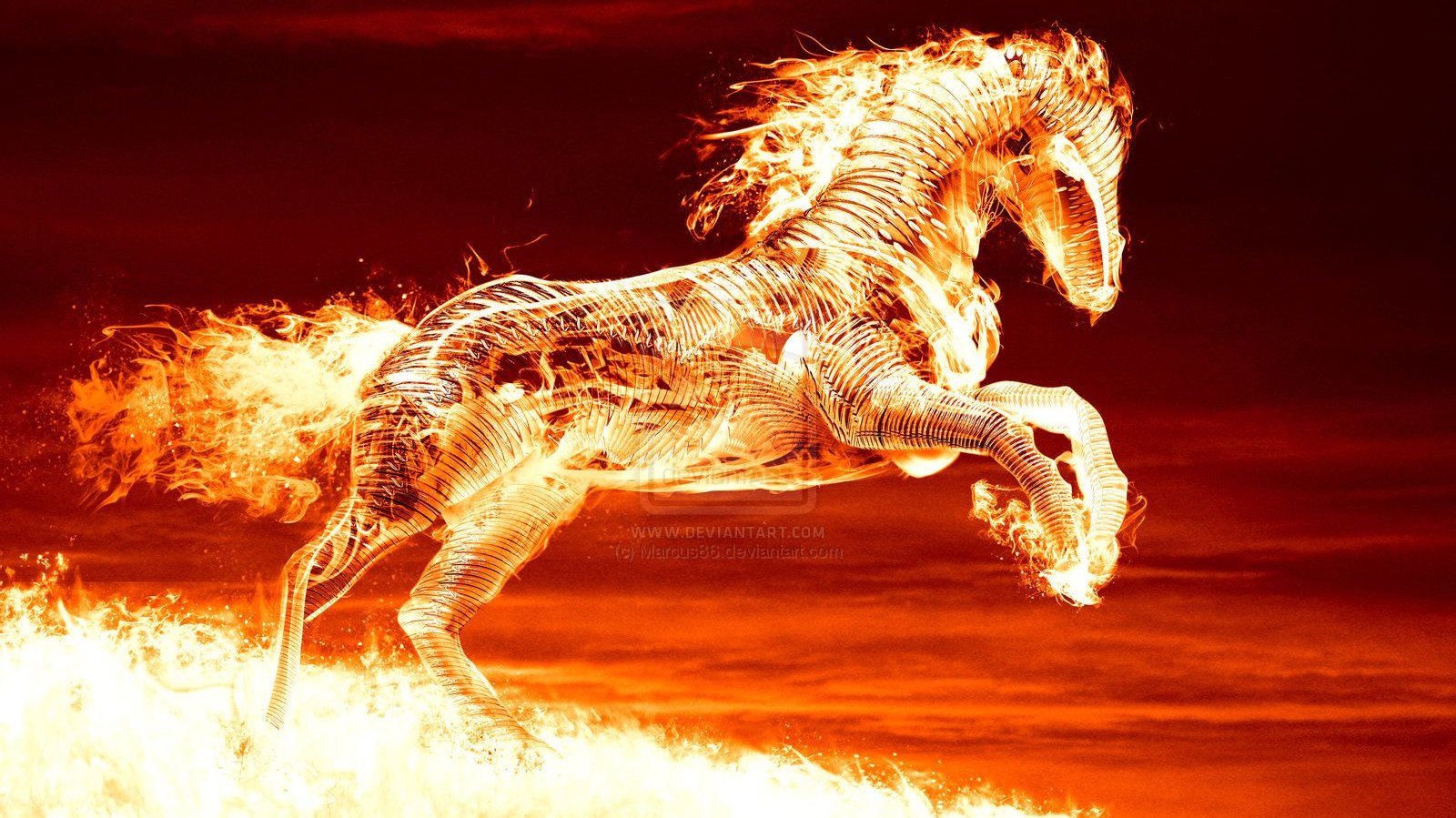 Fire Horse Background Picture 8
