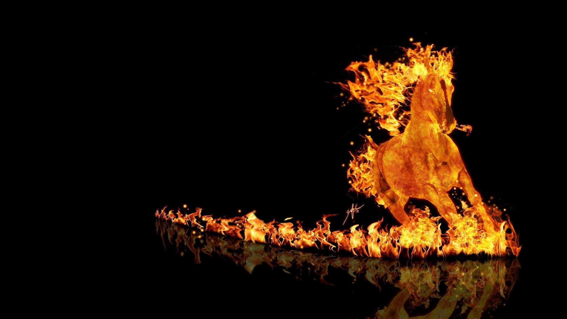 Fire Horse HD Background Picture13
