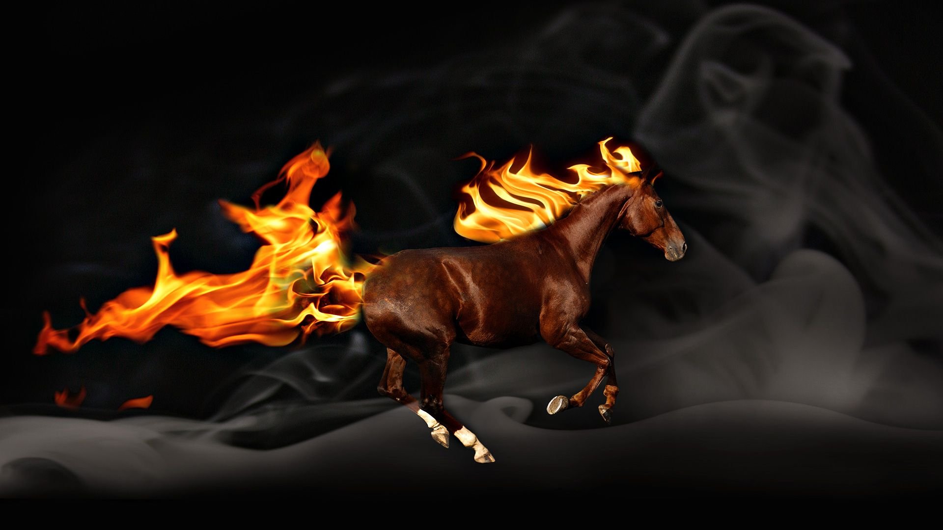 Fire Horse HD Desktop Background Picture  