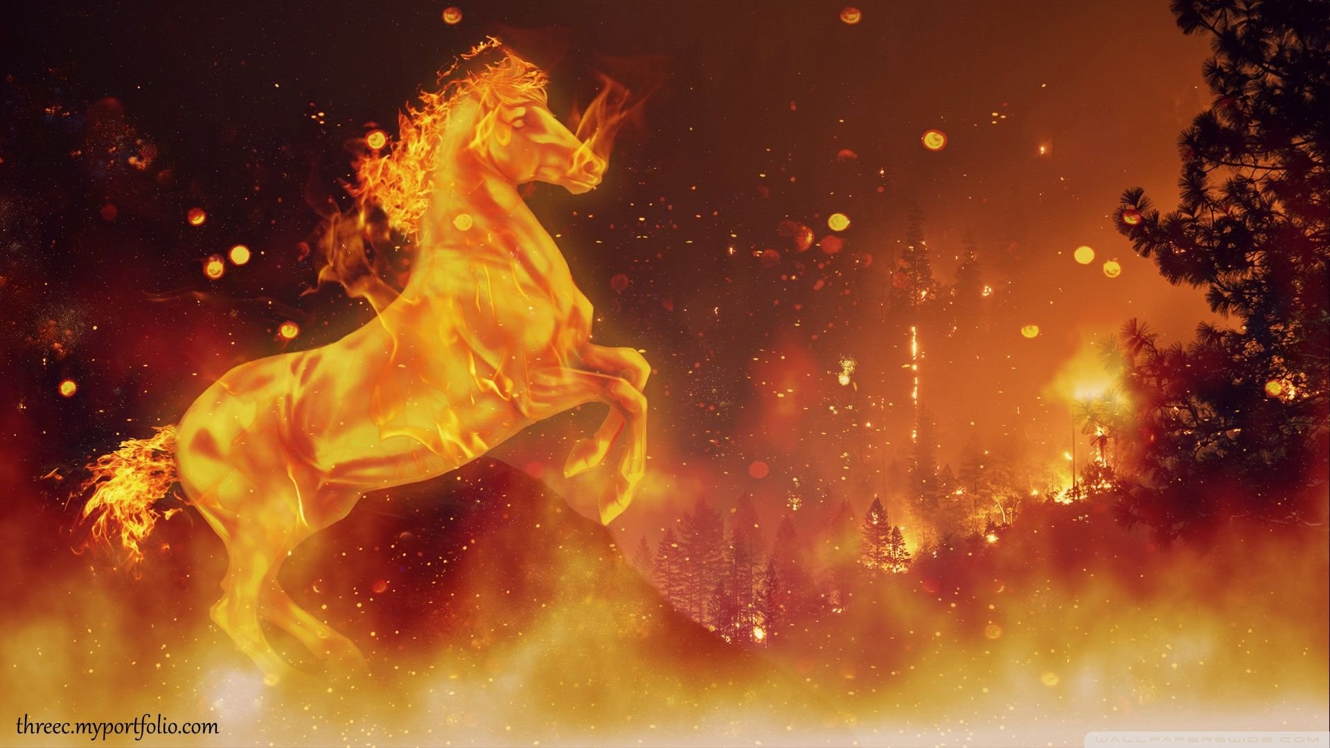 Fire Horse HD Wallpaper 7