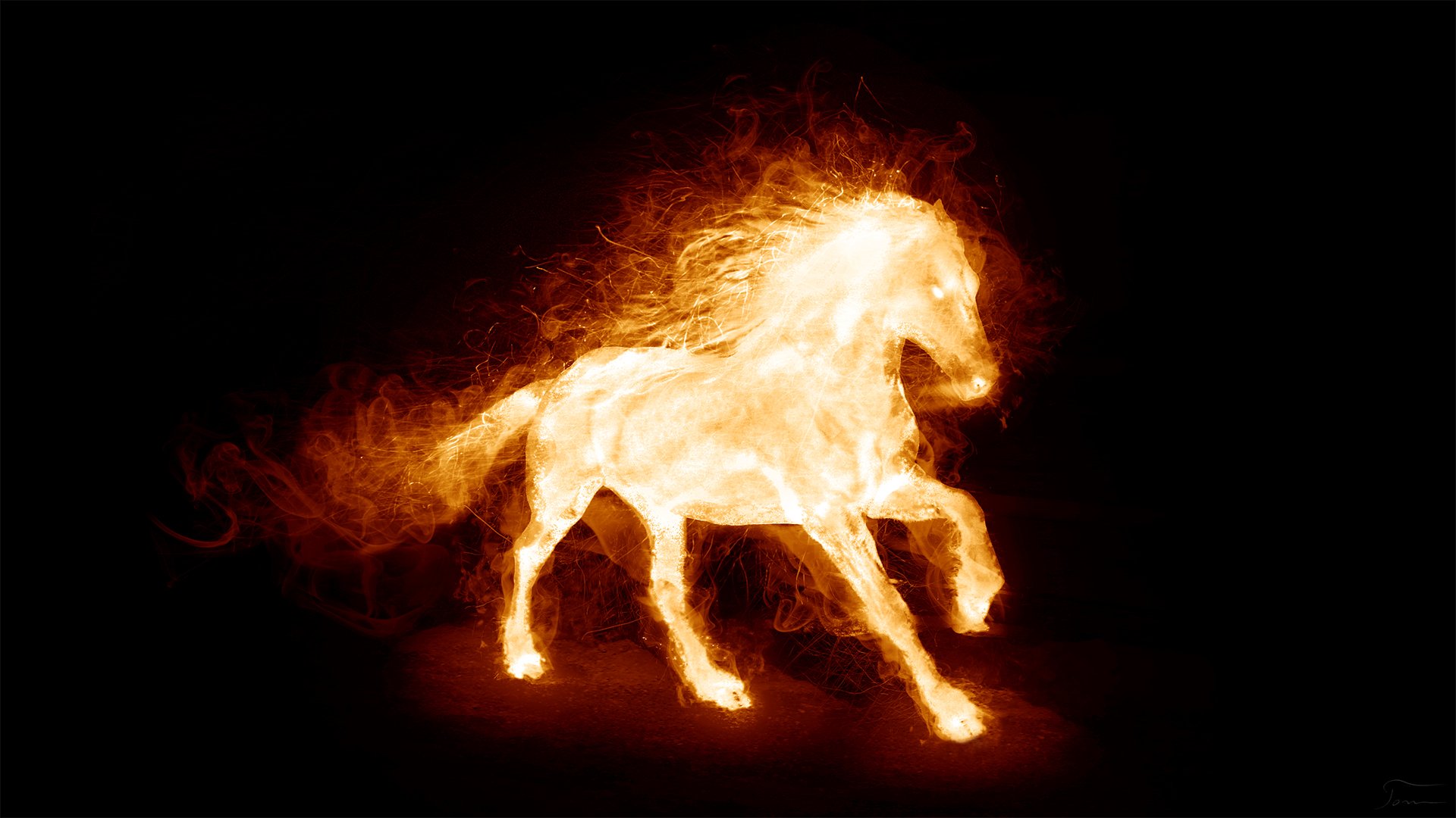 Fire Horse HD Wallpaper Image