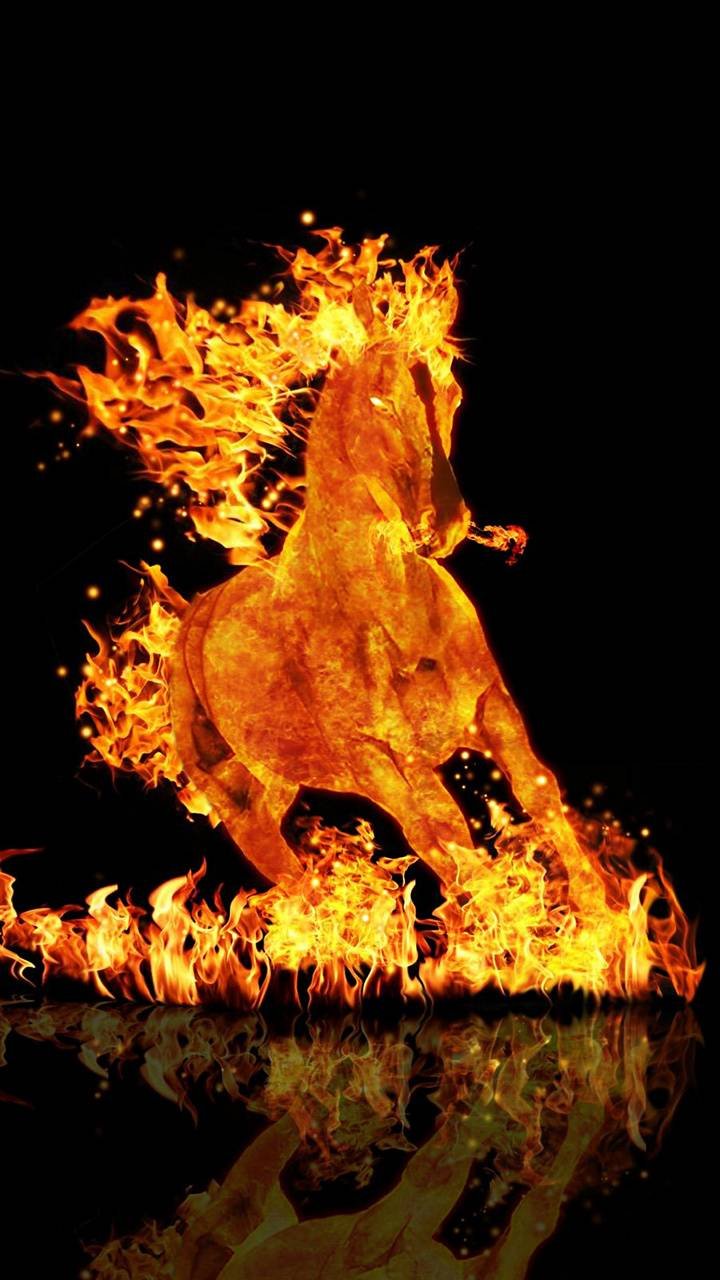 Fire Horse iPhone Background Picture