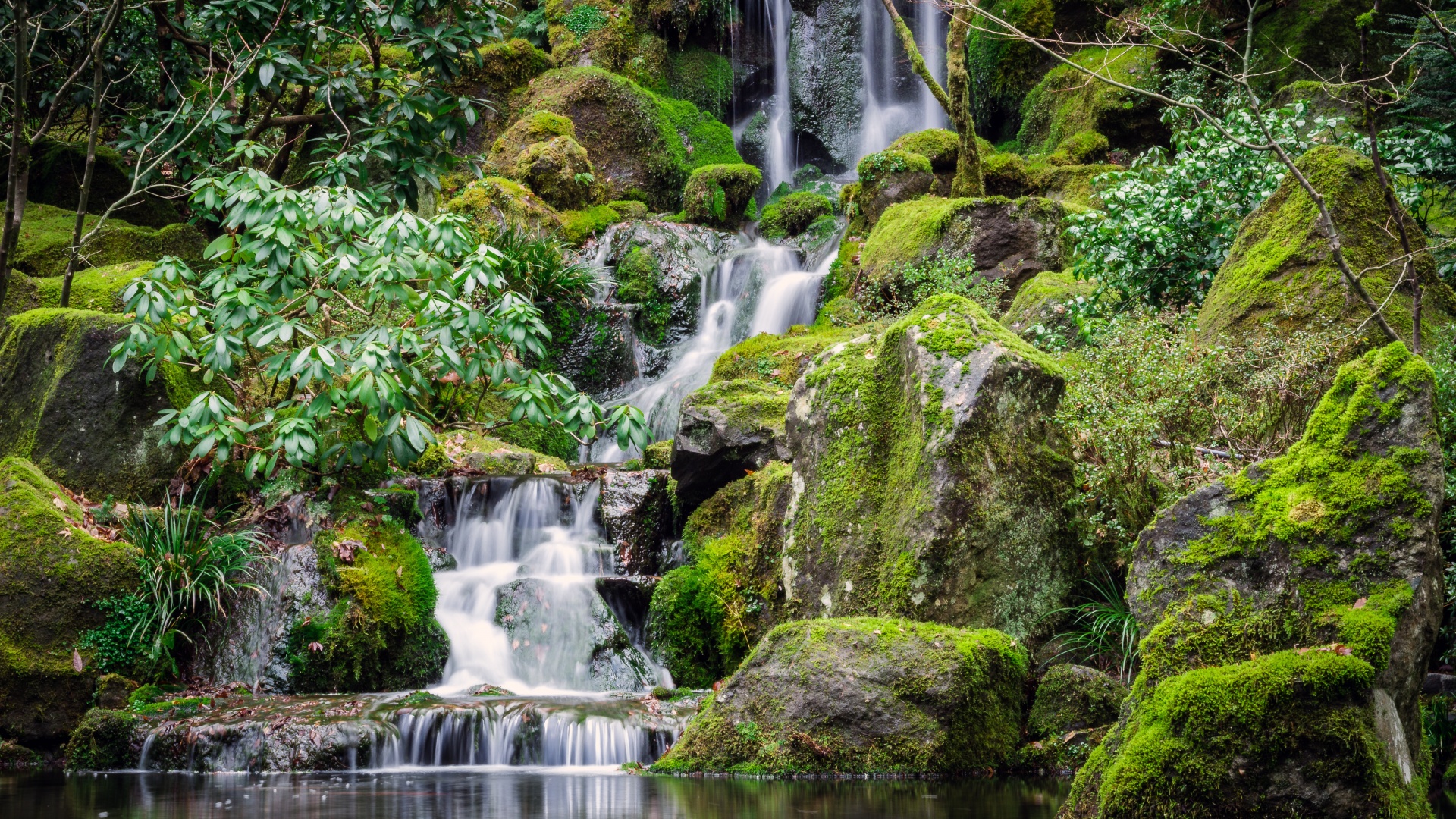 Portland Japanese Gardens 