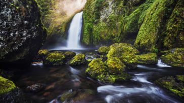 Waterfalls Green Moss Wallpaper