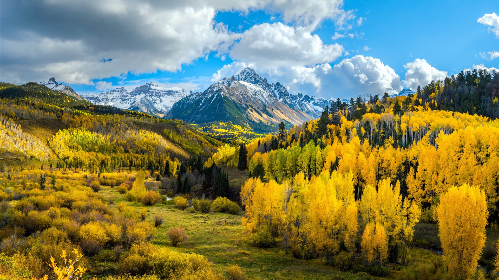 Forest Autumn Mountain Scenery Photo