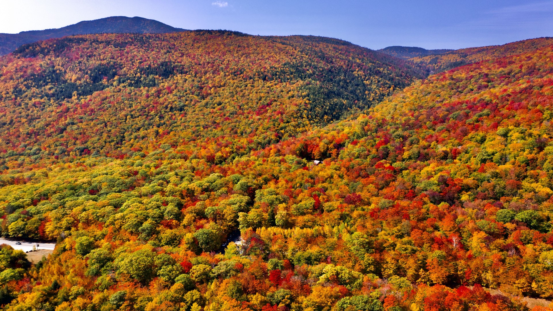 Red Green Yellow Autumn Forest Trees Slope Hill Nature