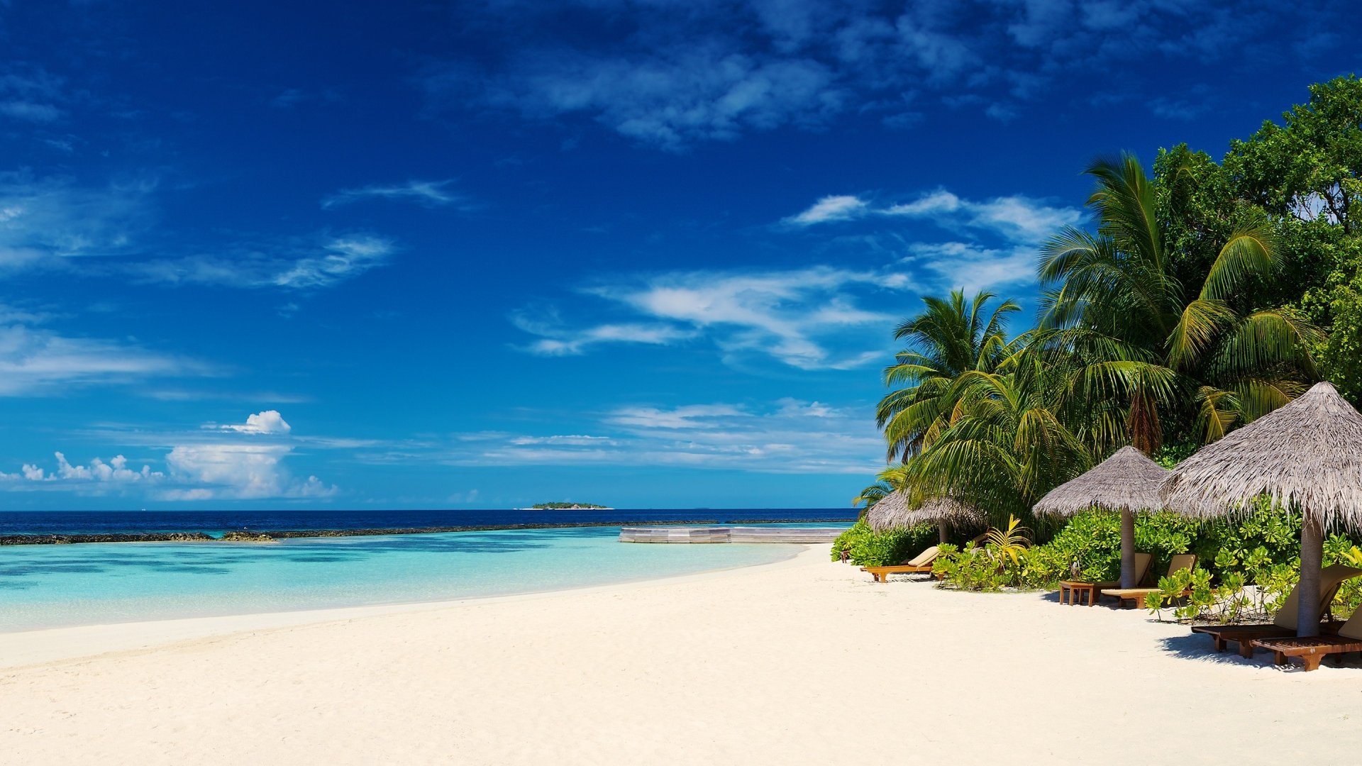 Palm Trees On Ocean Coast Background