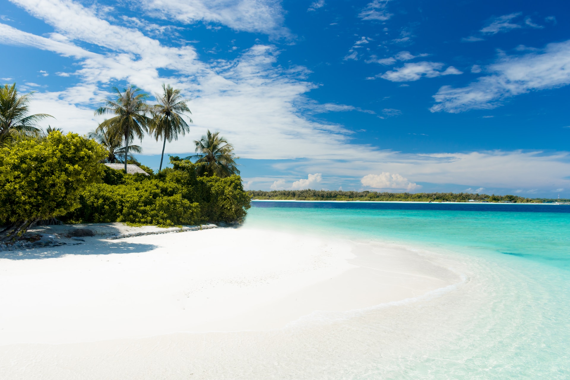 jcob-nasyr-beach photo