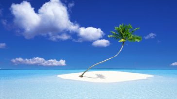 A Palm Tree Island Wallpaper