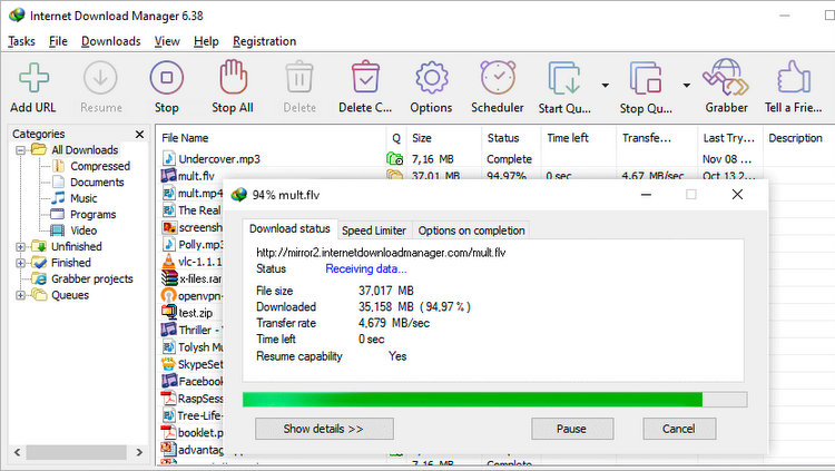 idm internet download manager