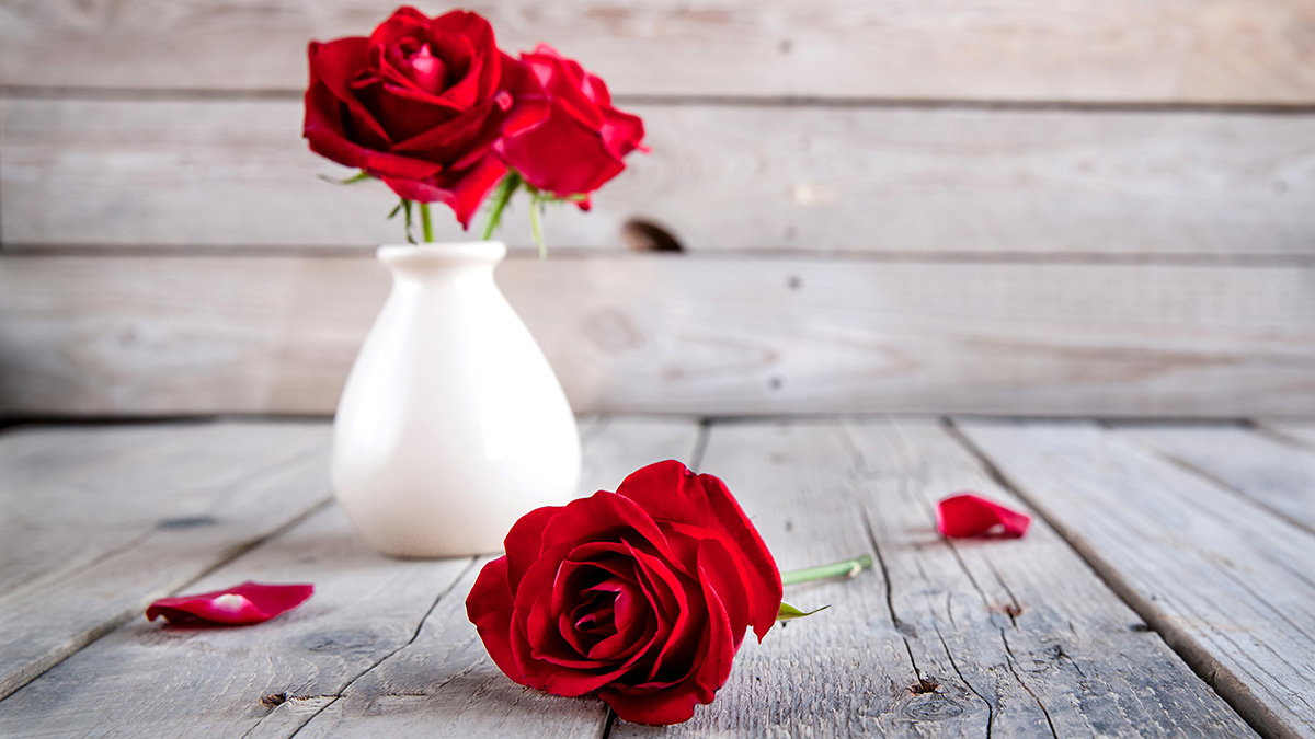 Red Roses in a Vase