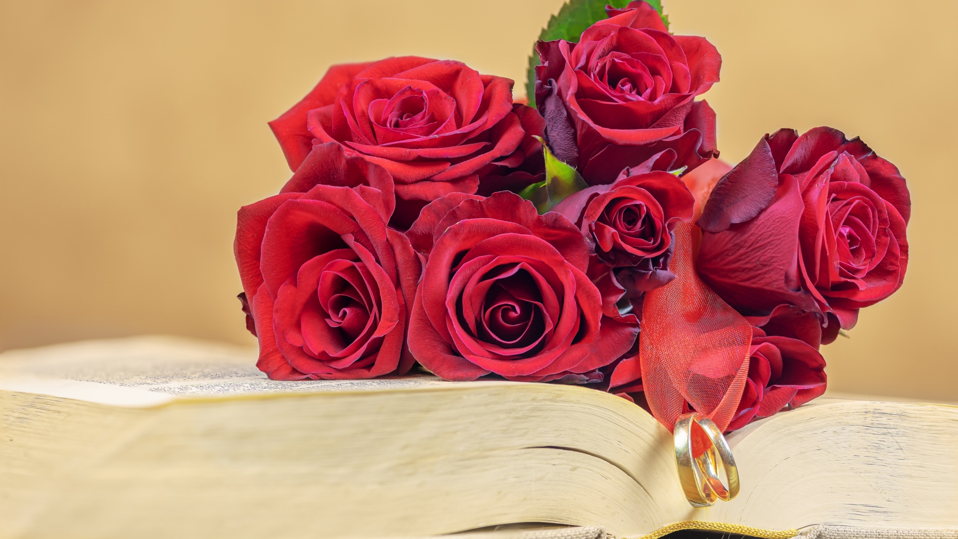 Red Roses with wedding rings