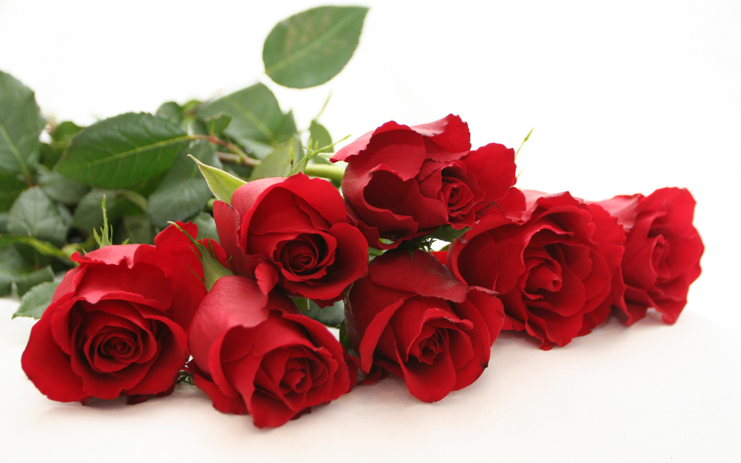 Red roses love day image