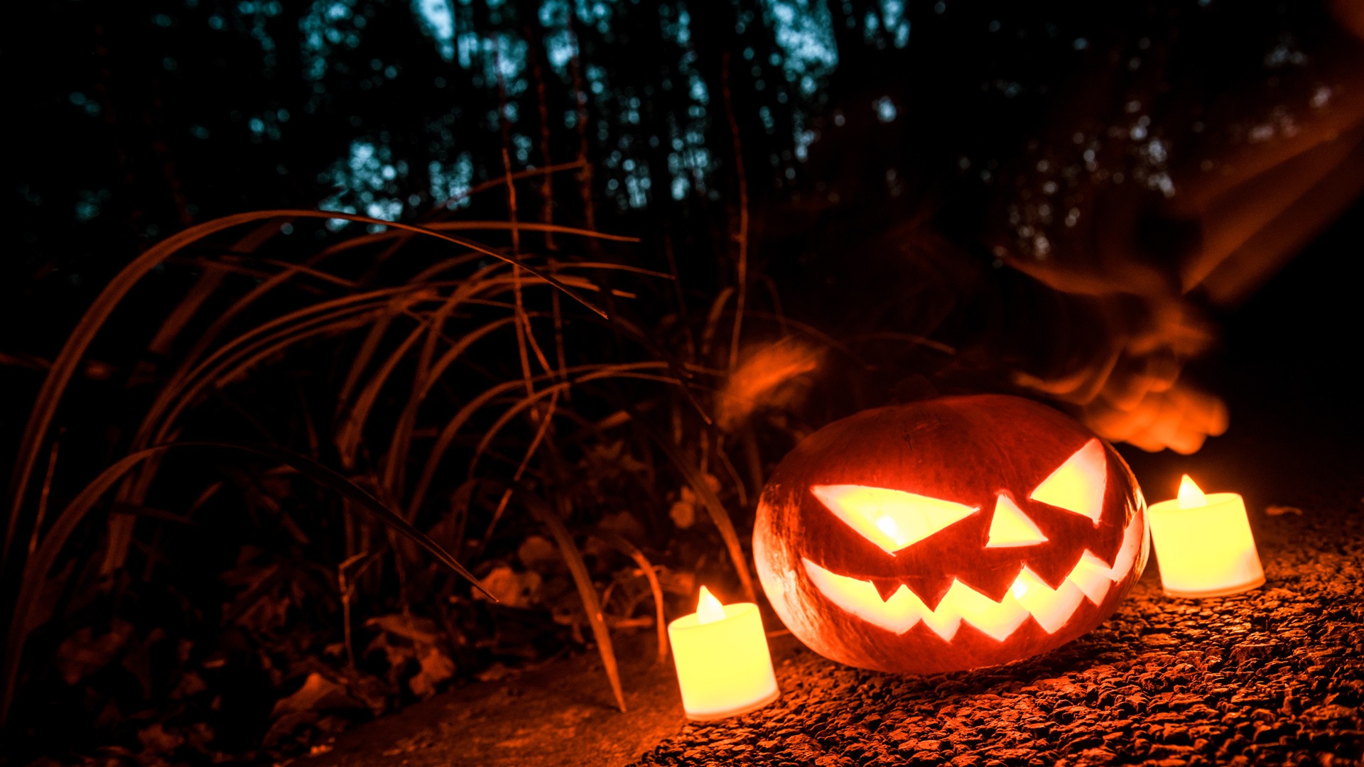 Halloween Pumpkin Forest Night